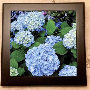 Ceramic Tile Trivet with Hydrangea - High Gloss